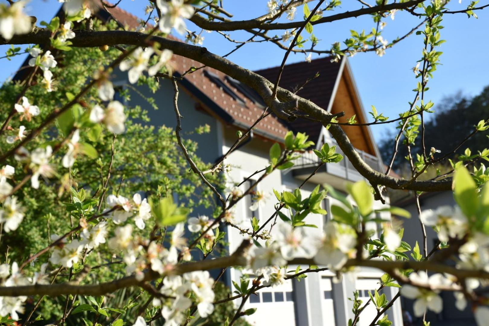 Ferienhaus Am Hof Zotter Riegersburg Εξωτερικό φωτογραφία